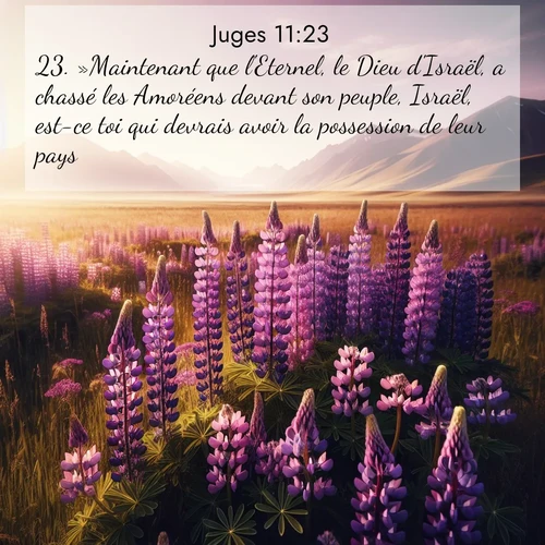 Segond21 Juges  ; image nature: image avec le verset biblique :»Maintenant que l&#039;Eternel, le Dieu d&#039;Israël, a chassé les Amoréens devant son peuple, Israël, est-ce toi qui devrais avoir la possession de leur pays? ;  ; 11:23