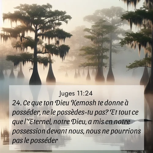 Segond21 Juges  ; image nature: image avec le verset biblique :Ce que ton Dieu Kemosh te donne à posséder, ne le possèdes-tu pas? Et tout ce que l&#039;Eternel, notre Dieu, a mis en notre possession devant nous, nous ne pourrions pas le posséder! ;  ; 11:24