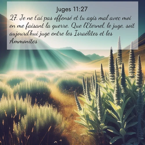 Segond21 Juges  ; image nature: image avec le verset biblique :Je ne t&#039;ai pas offensé et tu agis mal avec moi en me faisant la guerre. Que l&#039;Eternel, le juge, soit aujourd&#039;hui juge entre les Israélites et les Ammonites!» ;  ; 11:27