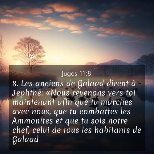 Segond21 Juges  ; image nature: image avec le verset biblique :Les anciens de Galaad dirent à Jephthé: «Nous revenons vers toi maintenant afin que tu marches avec nous, que tu combattes les Ammonites et que tu sois notre chef, celui de tous les habitants de Galaad.» ;  ; 11:8