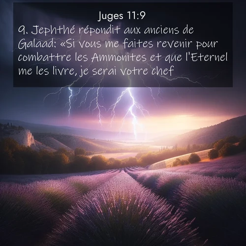 Segond21 Juges  ; image nature: image avec le verset biblique :Jephthé répondit aux anciens de Galaad: «Si vous me faites revenir pour combattre les Ammonites et que l&#039;Eternel me les livre, je serai votre chef.» ;  ; 11:9