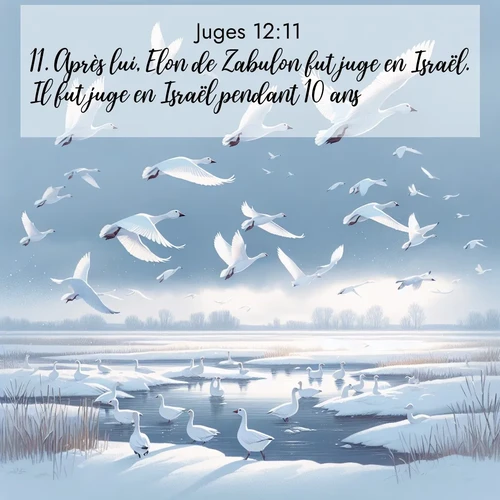 Segond21 Juges  ; image nature: image avec le verset biblique :Après lui, Elon de Zabulon fut juge en Israël. Il fut juge en Israël pendant 10 ans. ;  ; 12:11