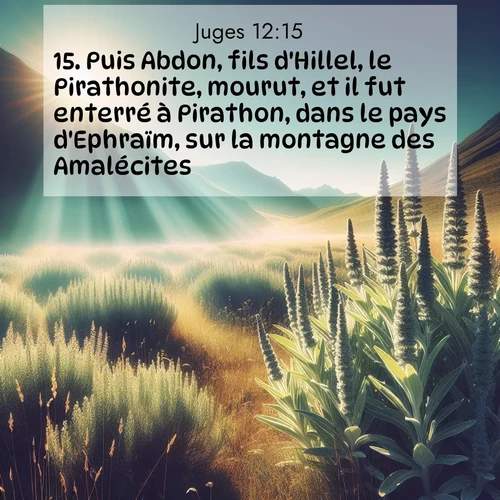 Segond21 Juges  ; image nature: image avec le verset biblique :Puis Abdon, fils d&#039;Hillel, le Pirathonite, mourut, et il fut enterré à Pirathon, dans le pays d&#039;Ephraïm, sur la montagne des Amalécites. ;  ; 12:15
