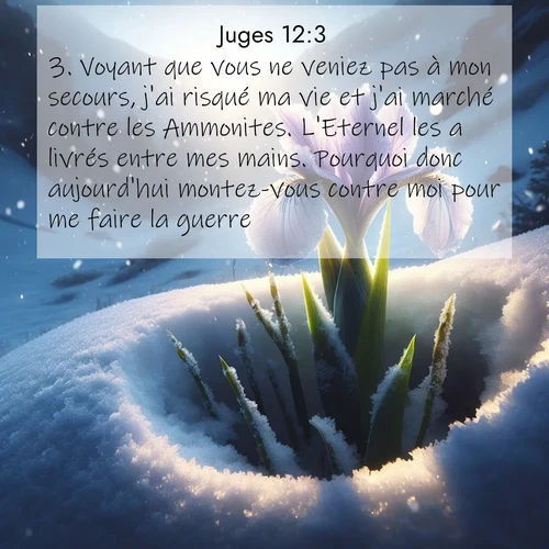 Segond21 Juges  ; image nature: image avec le verset biblique :Voyant que vous ne veniez pas à mon secours, j&#039;ai risqué ma vie et j&#039;ai marché contre les Ammonites. L&#039;Eternel les a livrés entre mes mains. Pourquoi donc aujourd&#039;hui montez-vous contre moi pour me faire la guerre?» ;  ; 12:3