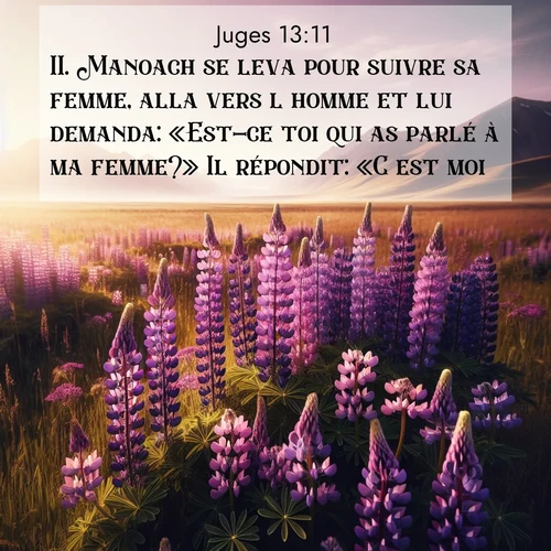 Segond21 Juges  ; image nature: image avec le verset biblique :Manoach se leva pour suivre sa femme, alla vers l&#039;homme et lui demanda: «Est-ce toi qui as parlé à ma femme?» Il répondit: «C&#039;est moi.» ;  ; 13:11