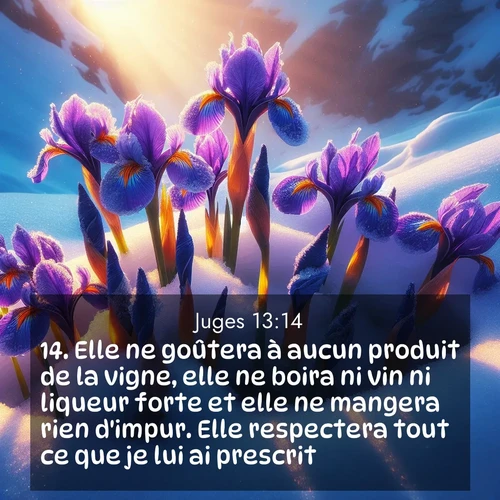 Segond21 Juges  ; image nature: image avec le verset biblique :Elle ne goûtera à aucun produit de la vigne, elle ne boira ni vin ni liqueur forte et elle ne mangera rien d&#039;impur. Elle respectera tout ce que je lui ai prescrit.» ;  ; 13:14
