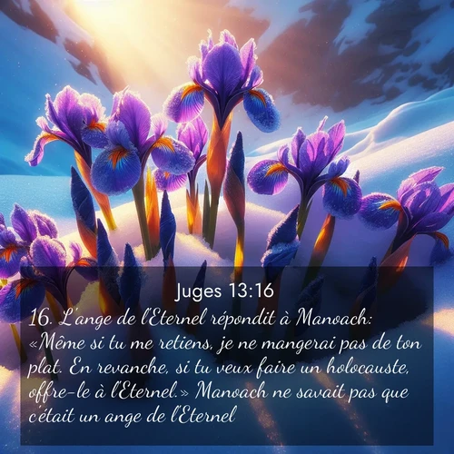 Segond21 Juges  ; image nature: image avec le verset biblique :L&#039;ange de l&#039;Eternel répondit à Manoach: «Même si tu me retiens, je ne mangerai pas de ton plat. En revanche, si tu veux faire un holocauste, offre-le à l&#039;Eternel.» Manoach ne savait pas que c&#039;était un ange de l&#039;Eternel. ;  ; 13:16