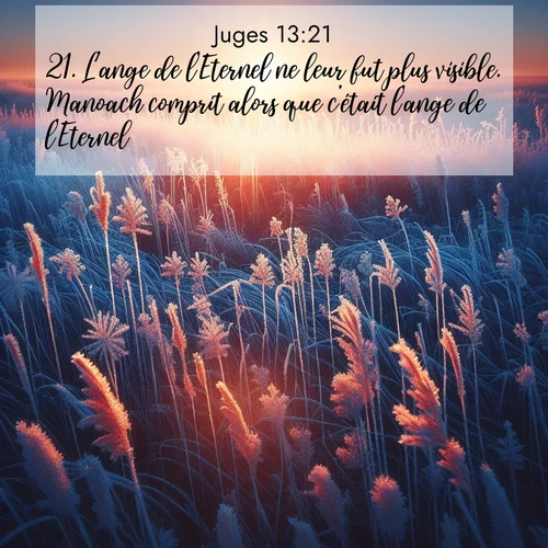 Segond21 Juges  ; image nature: image avec le verset biblique :L&#039;ange de l&#039;Eternel ne leur fut plus visible. Manoach comprit alors que c&#039;était l&#039;ange de l&#039;Eternel, ;  ; 13:21