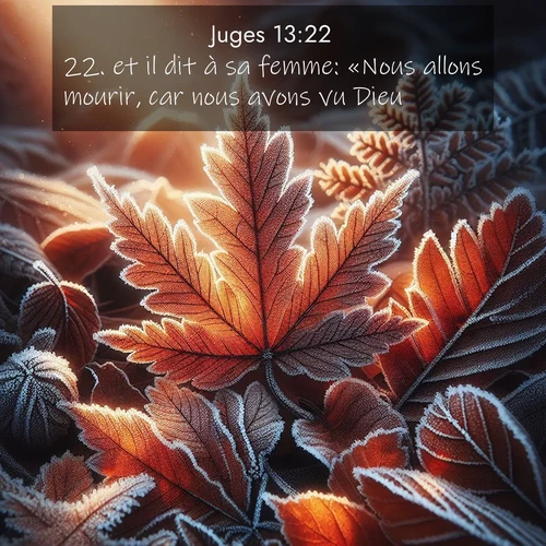 Segond21 Juges  ; image nature: image avec le verset biblique :et il dit à sa femme: «Nous allons mourir, car nous avons vu Dieu.» ;  ; 13:22