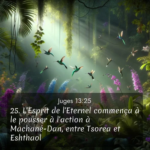 Segond21 Juges  ; image nature: image avec le verset biblique :L&#039;Esprit de l&#039;Eternel commença à le pousser à l&#039;action à Machané-Dan, entre Tsorea et Eshthaol. ;  ; 13:25