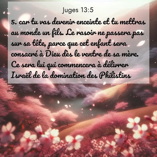 Segond21 Juges  ; image nature: image avec le verset biblique :car tu vas devenir enceinte et tu mettras au monde un fils. Le rasoir ne passera pas sur sa tête, parce que cet enfant sera consacré à Dieu dès le ventre de sa mère. Ce sera lui qui commencera à délivrer Israël de la domination des Philistins.» ;  ; 13:5