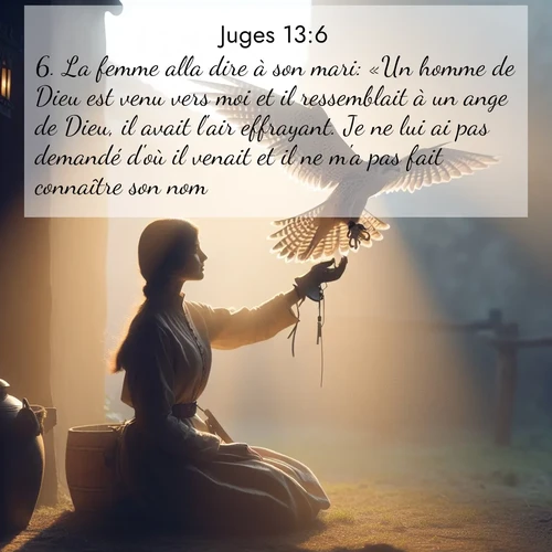 Segond21 Juges  ; image nature: image avec le verset biblique :La femme alla dire à son mari: «Un homme de Dieu est venu vers moi et il ressemblait à un ange de Dieu, il avait l&#039;air effrayant. Je ne lui ai pas demandé d&#039;où il venait et il ne m&#039;a pas fait connaître son nom, ;  ; 13:6