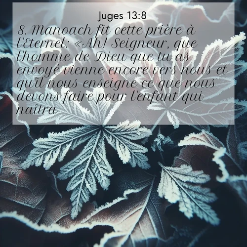 Segond21 Juges  ; image nature: image avec le verset biblique :Manoach fit cette prière à l&#039;Eternel: «Ah! Seigneur, que l&#039;homme de Dieu que tu as envoyé vienne encore vers nous et qu&#039;il nous enseigne ce que nous devons faire pour l&#039;enfant qui naîtra!» ;  ; 13:8