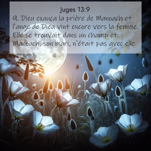 Segond21 Juges  ; image nature: image avec le verset biblique :Dieu exauça la prière de Manoach et l&#039;ange de Dieu vint encore vers la femme. Elle se trouvait dans un champ et Manoach, son mari, n&#039;était pas avec elle. ;  ; 13:9