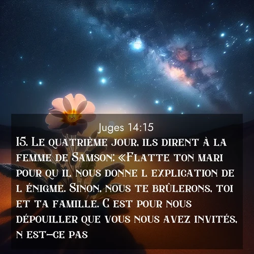 Segond21 Juges  ; image nature: image avec le verset biblique :Le quatrième jour, ils dirent à la femme de Samson: «Flatte ton mari pour qu&#039;il nous donne l&#039;explication de l&#039;énigme. Sinon, nous te brûlerons, toi et ta famille. C&#039;est pour nous dépouiller que vous nous avez invités, n&#039;est-ce pas?» ;  ; 14:15