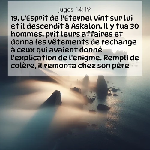 Segond21 Juges  ; image nature: image avec le verset biblique :L&#039;Esprit de l&#039;Eternel vint sur lui et il descendit à Askalon. Il y tua 30 hommes, prit leurs affaires et donna les vêtements de rechange à ceux qui avaient donné l&#039;explication de l&#039;énigme. Rempli de colère, il remonta chez son père. ;  ; 14:19