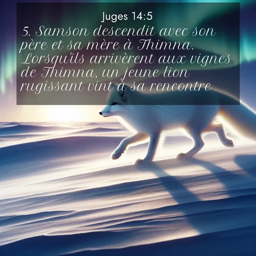 Segond21 Juges  ; image nature: image avec le verset biblique :Samson descendit avec son père et sa mère à Thimna. Lorsqu&#039;ils arrivèrent aux vignes de Thimna, un jeune lion rugissant vint à sa rencontre. ;  ; 14:5