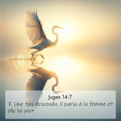 Segond21 Juges  ; image nature: image avec le verset biblique :Une fois descendu, il parla à la femme et elle lui plut. ;  ; 14:7