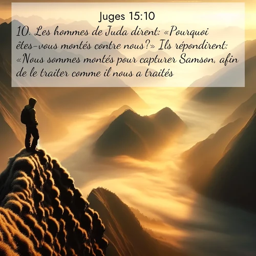 Segond21 Juges  ; image nature: image avec le verset biblique :Les hommes de Juda dirent: «Pourquoi êtes-vous montés contre nous?» Ils répondirent: «Nous sommes montés pour capturer Samson, afin de le traiter comme il nous a traités.» ;  ; 15:10