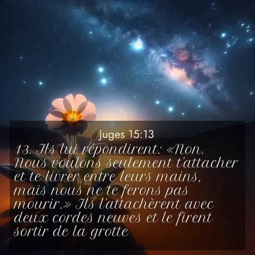Segond21 Juges  ; image nature: image avec le verset biblique :Ils lui répondirent: «Non. Nous voulons seulement t&#039;attacher et te livrer entre leurs mains, mais nous ne te ferons pas mourir.» Ils l&#039;attachèrent avec deux cordes neuves et le firent sortir de la grotte. ;  ; 15:13