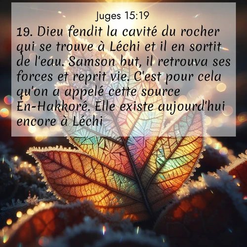 Segond21 Juges  ; image nature: image avec le verset biblique :Dieu fendit la cavité du rocher qui se trouve à Léchi et il en sortit de l&#039;eau. Samson but, il retrouva ses forces et reprit vie. C&#039;est pour cela qu&#039;on a appelé cette source En-Hakkoré. Elle existe aujourd&#039;hui encore à Léchi. ;  ; 15:19