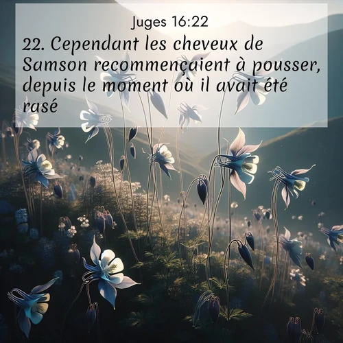 Segond21 Juges  ; image nature: image avec le verset biblique :Cependant les cheveux de Samson recommençaient à pousser, depuis le moment où il avait été rasé. ;  ; 16:22
