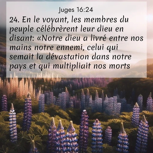 Segond21 Juges  ; image nature: image avec le verset biblique :En le voyant, les membres du peuple célébrèrent leur dieu en disant: «Notre dieu a livré entre nos mains notre ennemi, celui qui semait la dévastation dans notre pays et qui multipliait nos morts.» ;  ; 16:24