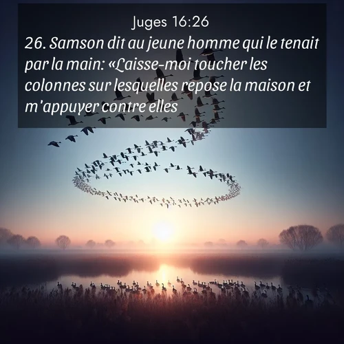 Segond21 Juges  ; image nature: image avec le verset biblique :Samson dit au jeune homme qui le tenait par la main: «Laisse-moi toucher les colonnes sur lesquelles repose la maison et m&#039;appuyer contre elles.» ;  ; 16:26