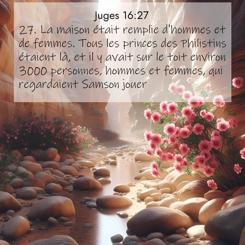 Segond21 Juges  ; image nature: image avec le verset biblique :La maison était remplie d&#039;hommes et de femmes. Tous les princes des Philistins étaient là, et il y avait sur le toit environ 3000 personnes, hommes et femmes, qui regardaient Samson jouer. ;  ; 16:27