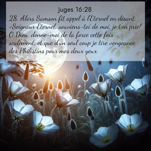Segond21 Juges  ; image nature: image avec le verset biblique :Alors Samson fit appel à l&#039;Eternel en disant: «Seigneur Eternel, souviens-toi de moi, je t&#039;en prie! O Dieu, donne-moi de la force cette fois seulement, et que d&#039;un seul coup je tire vengeance des Philistins pour mes deux yeux!» ;  ; 16:28