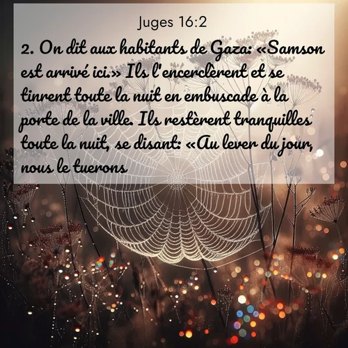 Segond21 Juges  ; image nature: image avec le verset biblique :On dit aux habitants de Gaza: «Samson est arrivé ici.» Ils l&#039;encerclèrent et se tinrent toute la nuit en embuscade à la porte de la ville. Ils restèrent tranquilles toute la nuit, se disant: «Au lever du jour, nous le tuerons.» ;  ; 16:2