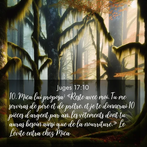 Segond21 Juges  ; image nature: image avec le verset biblique :Mica lui proposa: «Reste avec moi. Tu me serviras de père et de prêtre, et je te donnerai 10 pièces d&#039;argent par an, les vêtements dont tu auras besoin ainsi que de la nourriture.» Le Lévite entra chez Mica. ;  ; 17:10