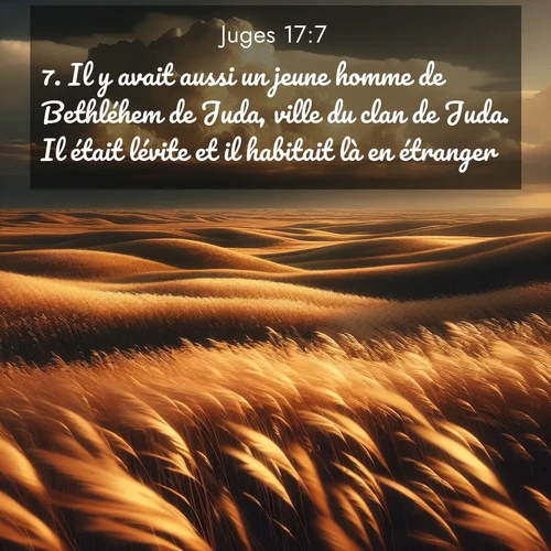 Segond21 Juges  ; image nature: image avec le verset biblique :Il y avait aussi un jeune homme de Bethléhem de Juda, ville du clan de Juda. Il était lévite et il habitait là en étranger. ;  ; 17:7