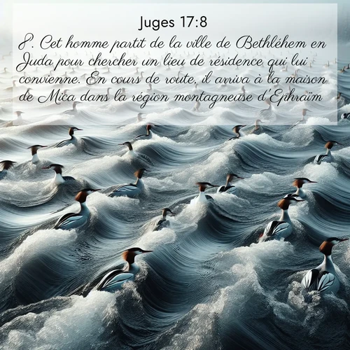 Segond21 Juges  ; image nature: image avec le verset biblique :Cet homme partit de la ville de Bethléhem en Juda pour chercher un lieu de résidence qui lui convienne. En cours de route, il arriva à la maison de Mica dans la région montagneuse d&#039;Ephraïm. ;  ; 17:8