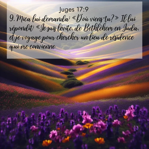 Segond21 Juges  ; image nature: image avec le verset biblique :Mica lui demanda: «D&#039;où viens-tu?» Il lui répondit: «Je suis lévite, de Bethléhem en Juda, et je voyage pour chercher un lieu de résidence qui me convienne.» ;  ; 17:9