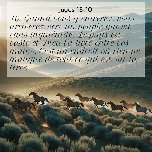 Segond21 Juges  ; image nature: image avec le verset biblique :Quand vous y entrerez, vous arriverez vers un peuple qui vit sans inquiétude. Le pays est vaste et Dieu l&#039;a livré entre vos mains. C&#039;est un endroit où rien ne manque de tout ce qui est sur la terre.» ;  ; 18:10