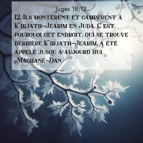 Segond21 Juges  ; image nature: image avec le verset biblique :Ils montèrent et campèrent à Kirjath-Jearim en Juda. C&#039;est pourquoi cet endroit, qui se trouve derrière Kirjath-Jearim, a été appelé jusqu&#039;à aujourd&#039;hui Machané-Dan. ;  ; 18:12