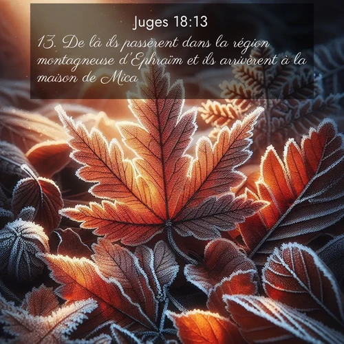 Segond21 Juges  ; image nature: image avec le verset biblique :De là ils passèrent dans la région montagneuse d&#039;Ephraïm et ils arrivèrent à la maison de Mica. ;  ; 18:13