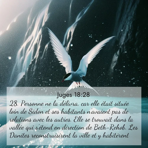 Segond21 Juges  ; image nature: image avec le verset biblique :Personne ne la délivra, car elle était située loin de Sidon et ses habitants n&#039;avaient pas de relations avec les autres. Elle se trouvait dans la vallée qui s&#039;étend en direction de Beth-Rehob. Les Danites reconstruisirent la ville et y habitèrent. ;  ; 18:28