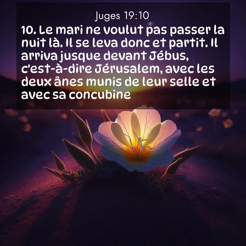 Segond21 Juges  ; image nature: image avec le verset biblique :Le mari ne voulut pas passer la nuit là. Il se leva donc et partit. Il arriva jusque devant Jébus, c&#039;est-à-dire Jérusalem, avec les deux ânes munis de leur selle et avec sa concubine. ;  ; 19:10