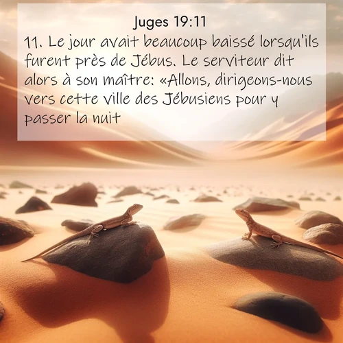 Segond21 Juges  ; image nature: image avec le verset biblique :Le jour avait beaucoup baissé lorsqu&#039;ils furent près de Jébus. Le serviteur dit alors à son maître: «Allons, dirigeons-nous vers cette ville des Jébusiens pour y passer la nuit.» ;  ; 19:11