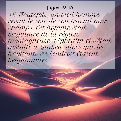 Segond21 Juges  ; image nature: image avec le verset biblique :Toutefois, un vieil homme revint le soir de son travail aux champs. Cet homme était originaire de la région montagneuse d&#039;Ephraïm et s&#039;était installé à Guibea, alors que les habitants de l&#039;endroit étaient benjaminites. ;  ; 19:16