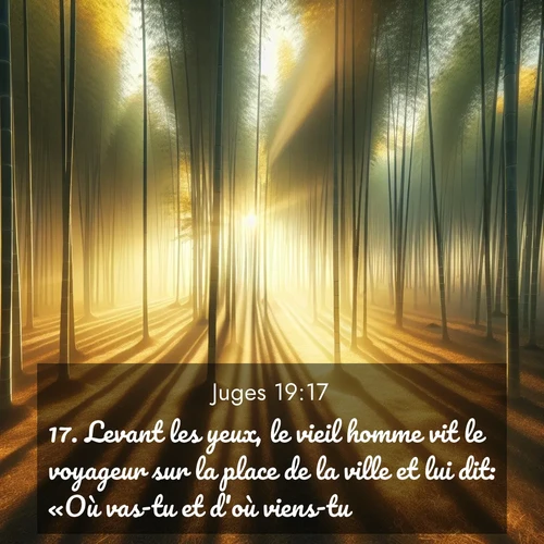 Segond21 Juges  ; image nature: image avec le verset biblique :Levant les yeux, le vieil homme vit le voyageur sur la place de la ville et lui dit: «Où vas-tu et d&#039;où viens-tu?» ;  ; 19:17