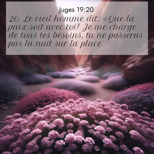 Segond21 Juges  ; image nature: image avec le verset biblique :Le vieil homme dit: «Que la paix soit avec toi! Je me charge de tous tes besoins, tu ne passeras pas la nuit sur la place.» ;  ; 19:20