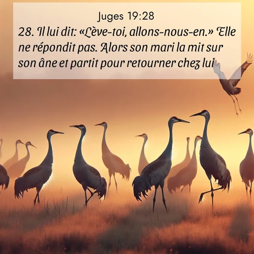 Segond21 Juges  ; image nature: image avec le verset biblique :Il lui dit: «Lève-toi, allons-nous-en.» Elle ne répondit pas. Alors son mari la mit sur son âne et partit pour retourner chez lui. ;  ; 19:28