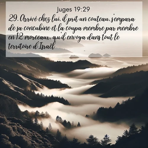 Segond21 Juges  ; image nature: image avec le verset biblique :Arrivé chez lui, il prit un couteau, s&#039;empara de sa concubine et la coupa membre par membre en 12 morceaux, qu&#039;il envoya dans tout le territoire d&#039;Israël. ;  ; 19:29