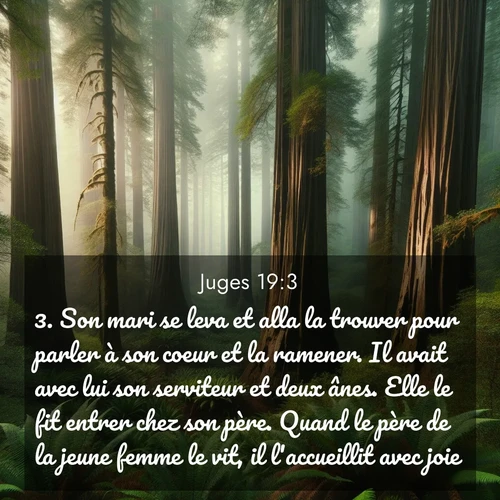 Segond21 Juges  ; image nature: image avec le verset biblique :Son mari se leva et alla la trouver pour parler à son coeur et la ramener. Il avait avec lui son serviteur et deux ânes. Elle le fit entrer chez son père. Quand le père de la jeune femme le vit, il l&#039;accueillit avec joie. ;  ; 19:3