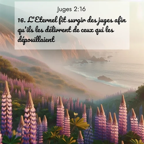 Segond21 Juges  ; image nature: image avec le verset biblique :L&#039;Eternel fit surgir des juges afin qu&#039;ils les délivrent de ceux qui les dépouillaient. ;  ; 2:16