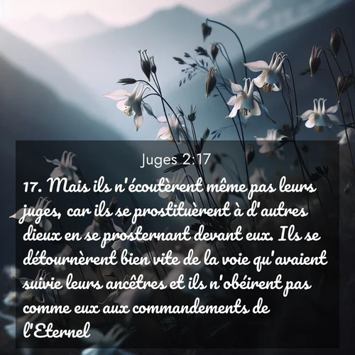 Segond21 Juges  ; image nature: image avec le verset biblique :Mais ils n&#039;écoutèrent même pas leurs juges, car ils se prostituèrent à d&#039;autres dieux en se prosternant devant eux. Ils se détournèrent bien vite de la voie qu&#039;avaient suivie leurs ancêtres et ils n&#039;obéirent pas comme eux aux commandements de l&#039;Eternel. ;  ; 2:17