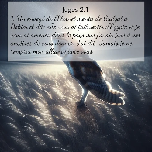 Segond21 Juges  ; image nature: image avec le verset biblique :Un envoyé de l&#039;Eternel monta de Guilgal à Bokim et dit: «Je vous ai fait sortir d&#039;Egypte et je vous ai amenés dans le pays que j&#039;avais juré à vos ancêtres de vous donner. J&#039;ai dit: &#039;Jamais je ne romprai mon alliance avec vous. ;  ; 2:1